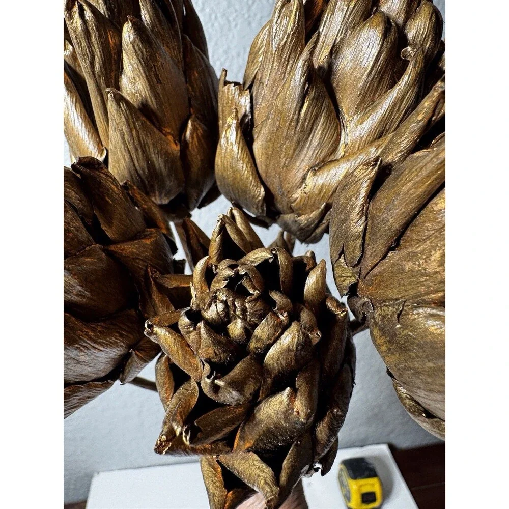 Floral Stems Dried Artichoke-Set Of 6